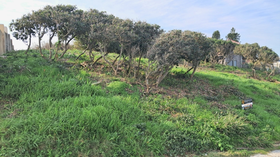  Bedroom Property for Sale in Seaview Eastern Cape